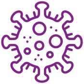 Virus vu au microscope