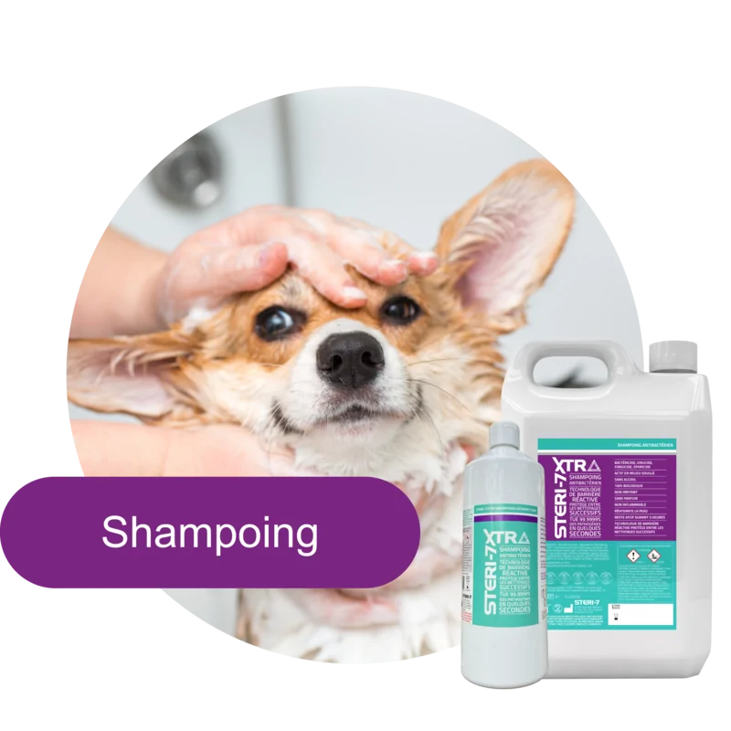 Catégorie shampoing STERI-7